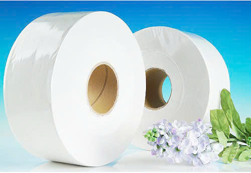 Giấy vệ sinh - Công Ty TNHH AVG Bình Minh
